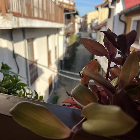 La Golondrina Apartment Candeleda Luaran gambar