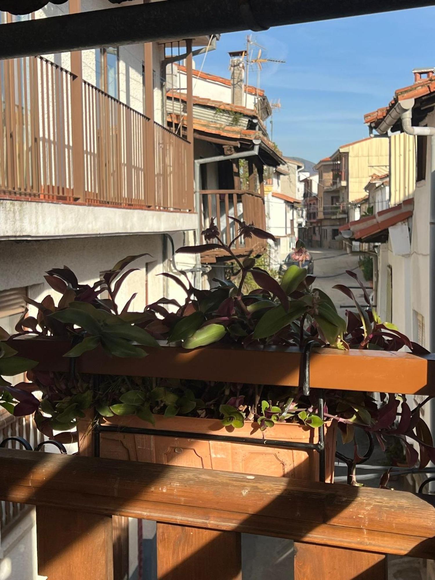 La Golondrina Apartment Candeleda Luaran gambar